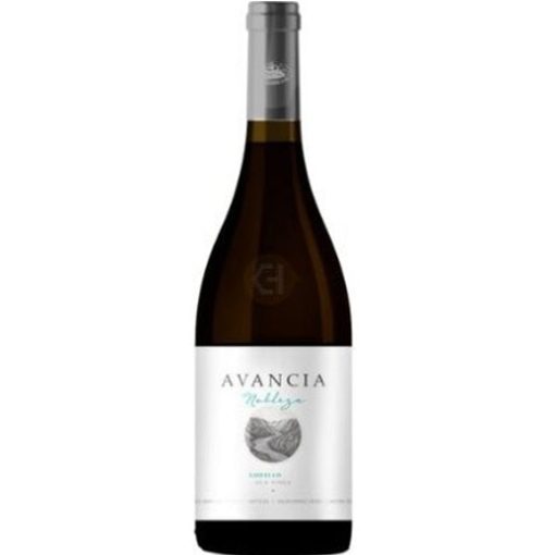 Avancia Valdeorras Godello 2022 750ml